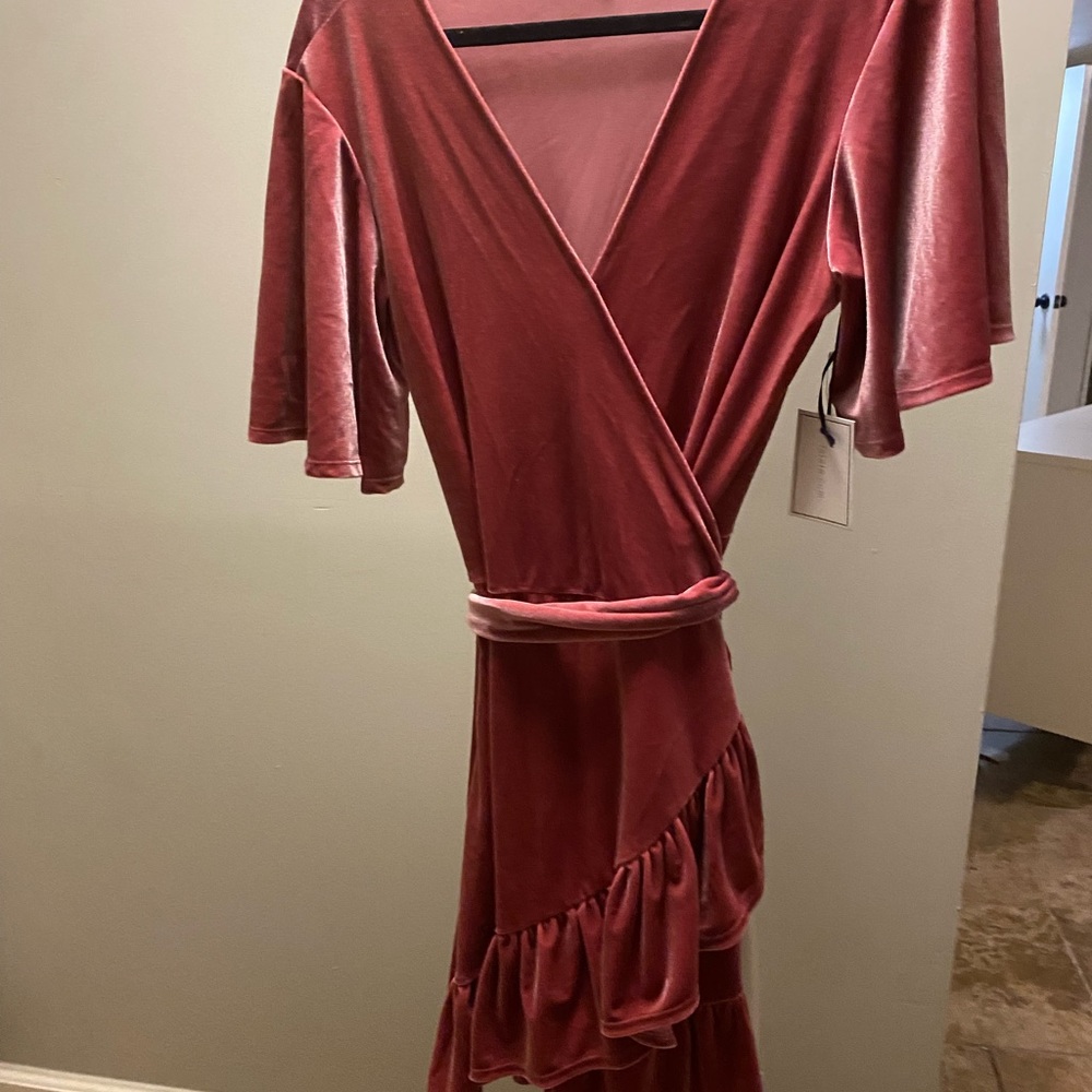 Nordstrom 1.STATE Pink Velvet Dress
